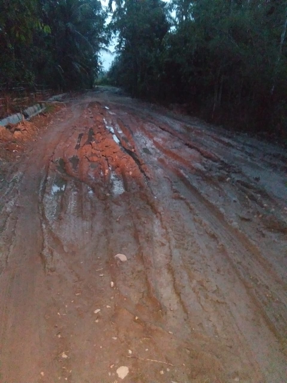 FIMA Minta Jalan Paya Bakong Segera di Perbaiki